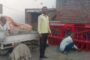 पानी बचाने वाली खेती को खाद का संकट, डीएसआर तकनीक अपनाने को तैयार किसान परेशान